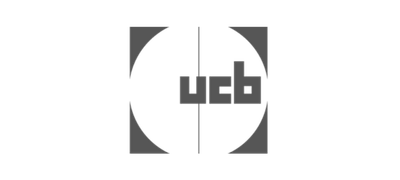 IT Project Management Consulting