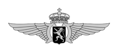 IT Project Management Consulting