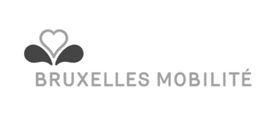 IT Project Management Consulting