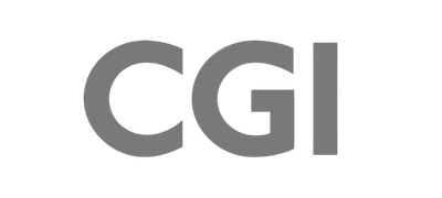 IT Project Management Consulting