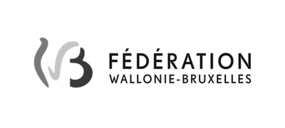 IT Project Management Consulting