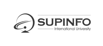 IT Project Management Consulting